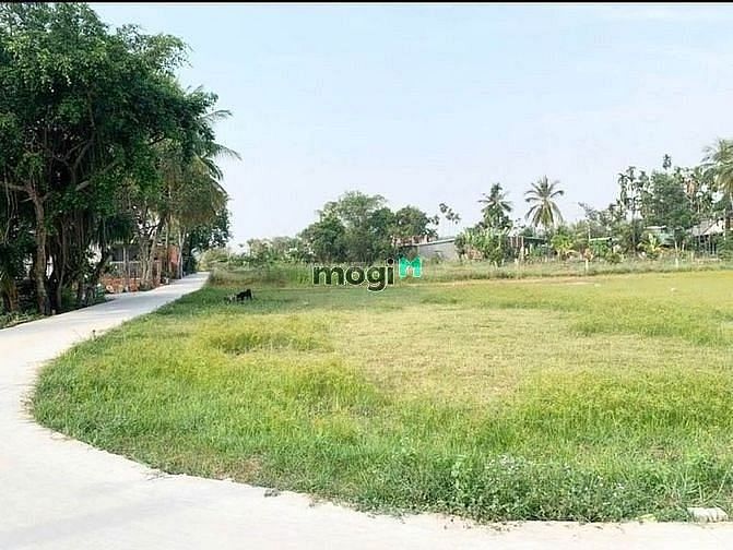 Hình ảnh Mua là cực lời giá ngộp chỉ 390tr