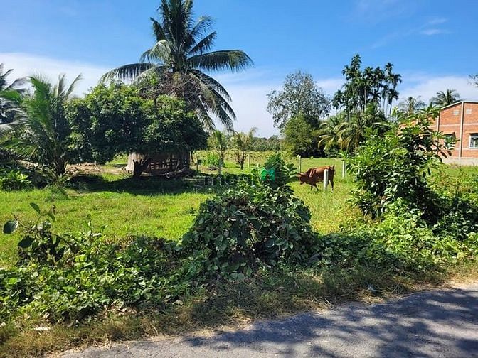 Hình ảnh CƠ HỘI VÀNG Tại Tân Bình Tân Biên Chỉ 321tr SHR 150m2