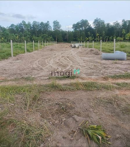 Hình ảnh Kinh doanh thuận tiện đất ĐẶNG VĂN SƠN - LONG CHỮ SHR còn 309tr