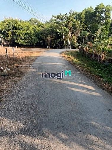 Hình ảnh BÁN ĐẤT MẶT TIỀN CHỈ VỚI 380TR Phan Văn Trị, Tân Hội, Tân Châu 150m²
