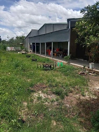 Hình ảnh HÓT HÒN HỌT lô 125m2 Chỉ 355tr ấp Phước Bình Gò dầu SHR