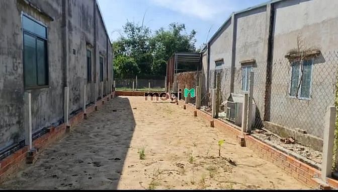 Hình ảnh Bán gấp lô đất ấp Hội Thạnh, xã Tân Đông, huyện Tân Châu,  Tây Ninh
