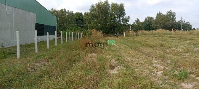Hình ảnh BÁN LẸ 255m2 thổ CƯ huyện Hòa Thành Chỉ 340tr SHR