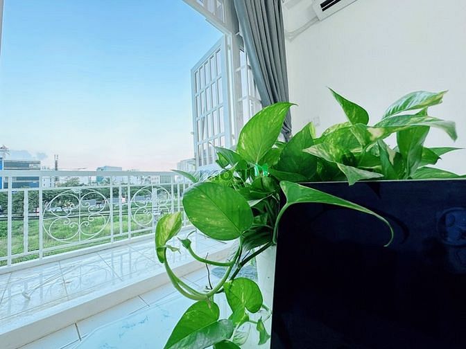 Hình ảnh Mb6623 nạp rút nhanh chóng Studio tách bếp Full Nội Thất ở Nhất Chi Mai P13 Tân Bình