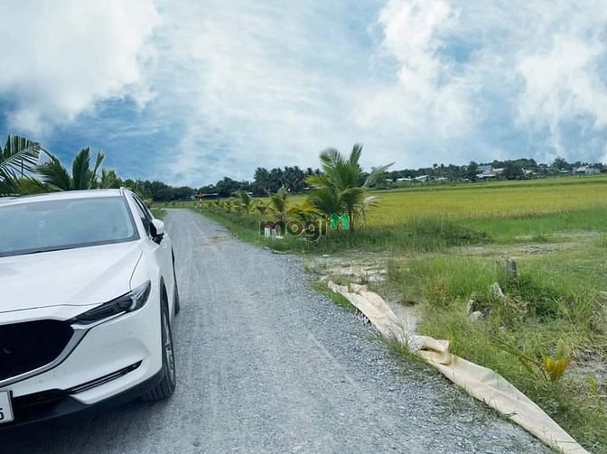 Hình ảnh ĐẤT VÀNG TRAO TAY Ngay thị trấn Tân Châu 150m2 full thổ cư SHR 366tr