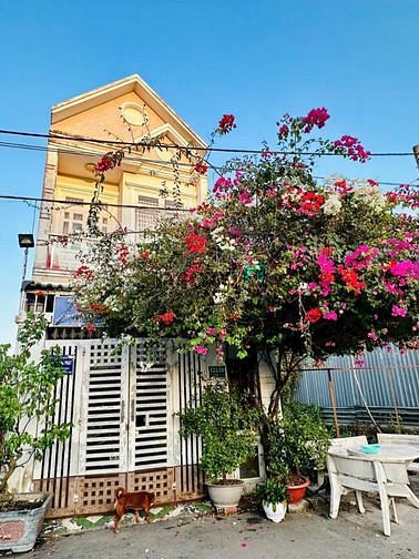 Hình ảnh Bán nhà trệt làu đường số 6 Long Bình , Quận 9