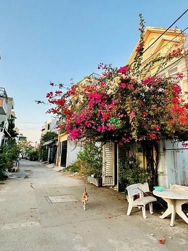 Hình ảnh Bán nhà trệt làu đường số 6 Long Bình , Quận 9