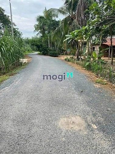 Hình ảnh Bán đất siêu rẻ tại Tân Biên, Tây Ninh full thổ cư 100m2 giá chỉ 280tr
