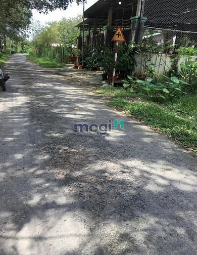 Hình ảnh BÁN GẤP ĐẤT Phước Hòa, Thạnh Đức, Gò Dầu 130m² giá 680tr