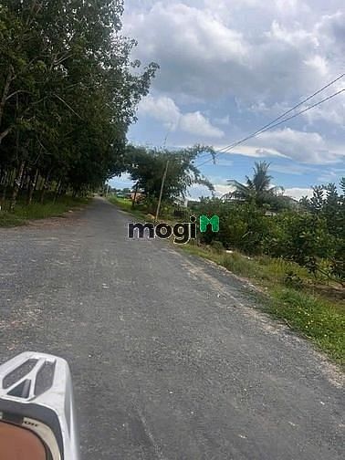 Hình ảnh Bán đất Tân Biên, Tây Ninh siêu đẹp lun chỉ 305tr sở hữu đất 100m2 tc