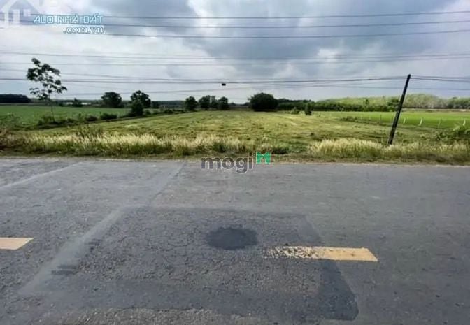 Hình ảnh BÁN GẤP ĐẤT THỔ CƯ Nguyễn Thị Lan, Tân Bình, Tân Biên 172m² giá 860tr