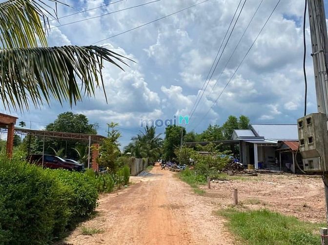 Hình ảnh Làm ăn thất bại ra gấp miếng đất thuộc Tân Phong, Tân Biên giá:195tr