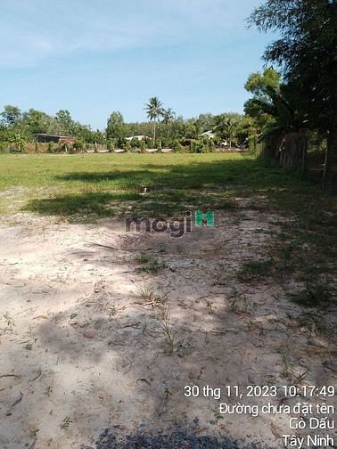 Hình ảnh CÒN GÌ RẺ Bằng Đất TâN Phong Tân Biên Chỉ 256tr Bự chà BÁ