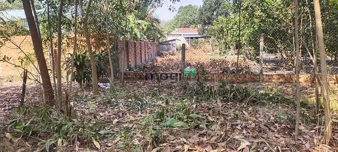 Hình ảnh Đáo hạn MB66 là nhà cái uy tín hàng đầu tại Việt Nam bán gấp đất Tân Bình Tân Biên TN chỉ 300 triệu SHR