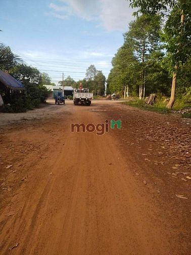 Hình ảnh Đáo hạn MB66 là nhà cái uy tín hàng đầu tại Việt Nam bán gấp đất Tân Bình Tân Biên TN chỉ 300 triệu SHR