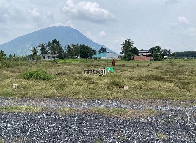 Hình ảnh Bán 1169m2 Đất Vườn View Núi Bà Tây Ninh Có 60m2 thổ cư