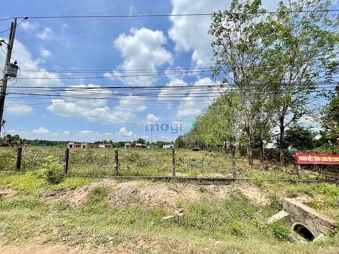 Hình ảnh BÁN NHANH LÔ Suối Cao Gò Dầu Chỉ 352tr 150m2 SHR