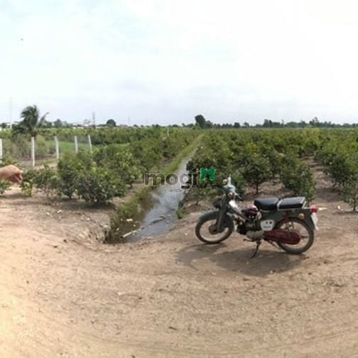 Hình ảnh Bán đất đường Vườn Thơm DT 20178m2