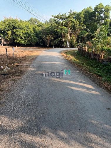 Hình ảnh ĐẤT VÀNG TRAO TAY Ngay thị trấn Tân Châu 150m2 full thổ cư SHR 328tr