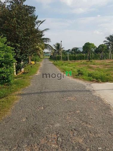 Hình ảnh MIẾNG BÁNH THƠM đất Phước Đông, Tây Ninh, 100m2, 525 triệu, SHR