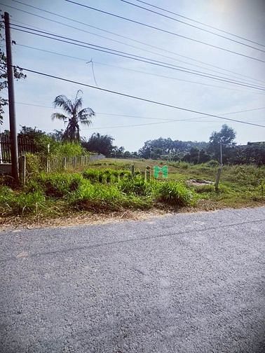 Hình ảnh CẦN BÁN GẤP đất Tân Biên,Tây Ninh, 150m2, 645 triệu, SHR