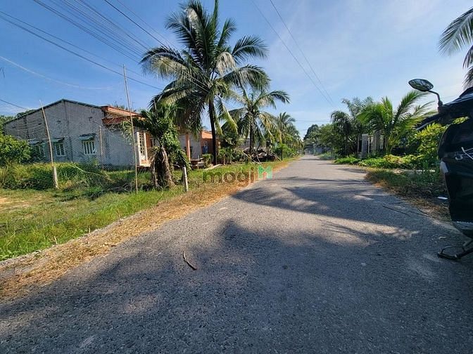 Hình ảnh ĐƯỜNG ĐÃ TRẢI NHỰA bán đất Gò Dầu Tây Ninh 675tr