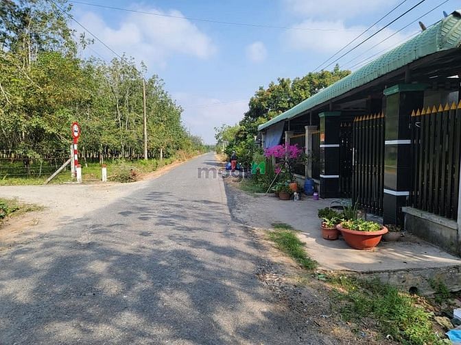 Hình ảnh PHÁ SẢN THANH LÝ Đất Chà Là, DMC, 438m2 TC 110m2, 440tr, PLRR