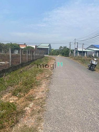 Hình ảnh THANH LÝ ĐẤT Tân Hà, Tân Châu ,H Tân Châu Tây Ninh 160m² giá 455tr SHR