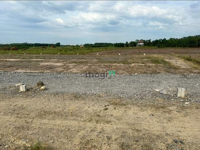 Hình ảnh Phước Đông lấy đâu ra lô đất 5x24 full thổ cư chỉ có 316tr.