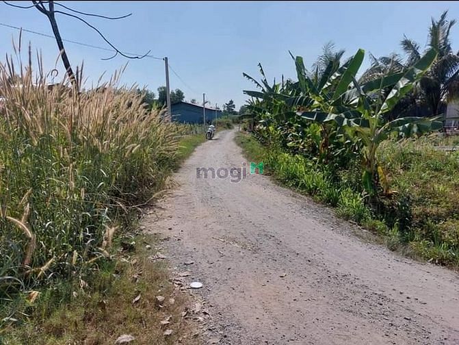 Hình ảnh Chính chủ gửi bán lô đất Ấp rộc, thạnh đức, gò dầu, tây ninh