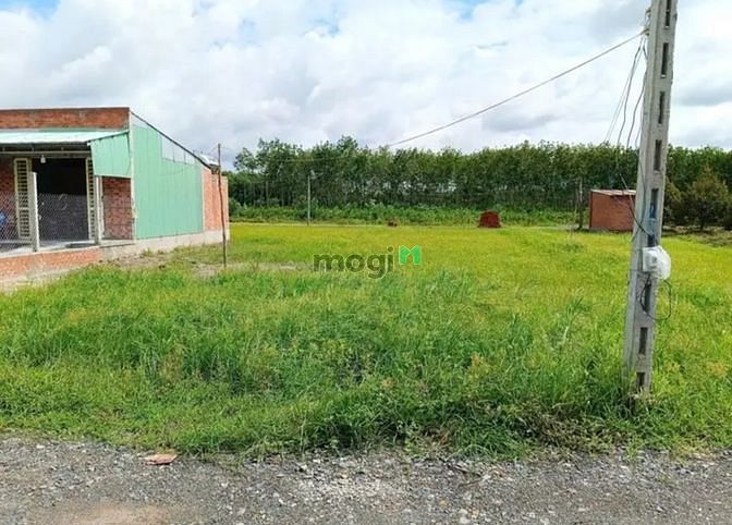 Hình ảnh SỞ HỮU NGAY ĐẤT 720tr Ấp Suối Cao, Phước Đông, Gò Dầu 208m²