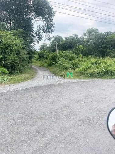 Hình ảnh CẦN RA LÔ ĐẤT 250m2 full thổ cư 299 triệu. ko làm việc trung gian