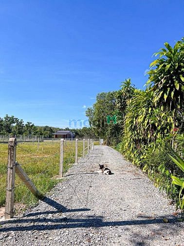 Hình ảnh Công chứng nhanh chóng lô đất ngay Gò Dầu TN chỉ 550 triệu thổ cư hết