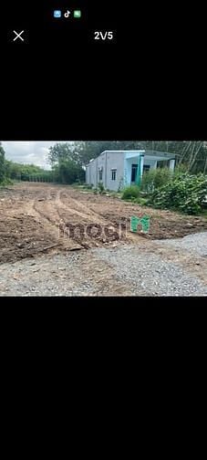 Hình ảnh BÁN ĐẤT THỔ CƯ Ấp Suối Cao A, Phước Đông, Gò Dầu giá 580tr 135m²