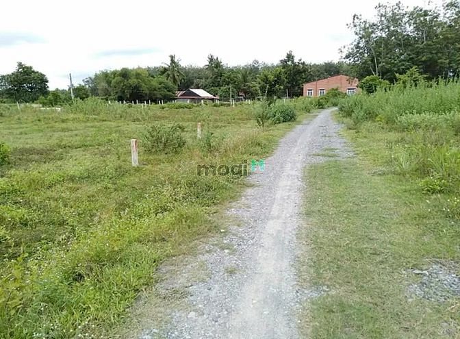 Hình ảnh BÁN GẤP ĐẤT Thạnh Đức, Gò Dầu, 360m2 TC 120m2, 435tr, PLRR