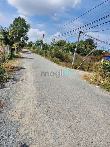 Hình ảnh THANH LÝ GẤP ĐẤT SỔ HỒNG Ấp Đường Lòng, Cẩm Giang 150m2 giá 360tr