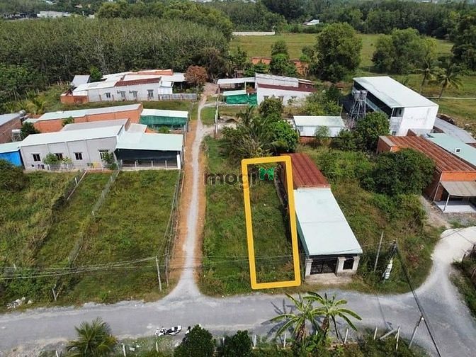 Hình ảnh THANH LÝ GẤP ĐẤT SỔ HỒNG Ấp Đường Lòng, Cẩm Giang 150m2 giá 360tr