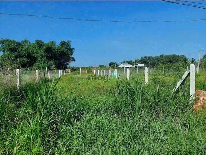 Hình ảnh Cần bán Đất ngộp hẻm 43 trường đông vô Ngang 6x24m thổ cư hết đất