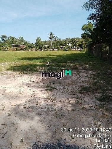 Hình ảnh NHỰA VÔ TỚI ĐẤT thổ cư 5x65 SHR tại xã Cẩm Giang