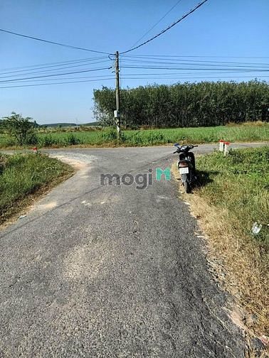Hình ảnh HẠ GIÁ BÁN GẤP đất Suối Dây, Tân Châu, 448m2, chỉ có 575tr