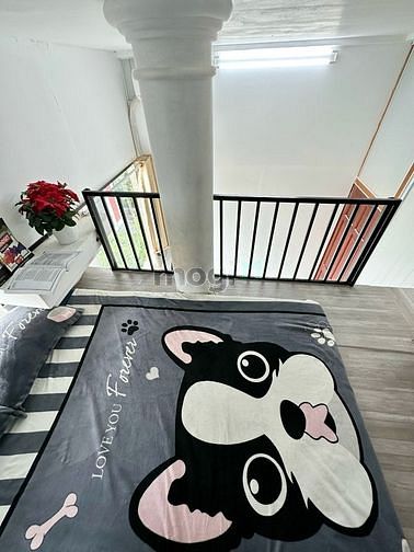 Hình ảnh DUPLEX giá rẻ FULL NỘI THẤT ngay cv HOÀNG VĂN THỤ