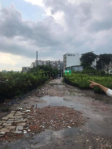 Hình ảnh Bán gấp quy hoạch đất giáo dục quận gò vấp giảm mạnh còn 250 tỉ