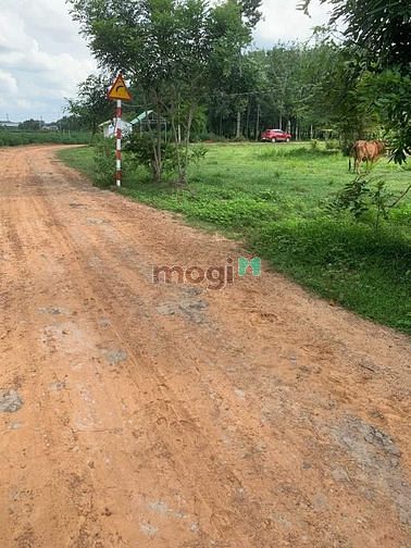 Hình ảnh Cần thanh lý gấp lô đất thuộc xã thái Bình châu thành DT: 42×32m