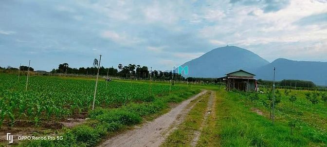 Hình ảnh FULL THỔ CƯ Hùng Vương, Gò Dầu, 165m², 405 triệu