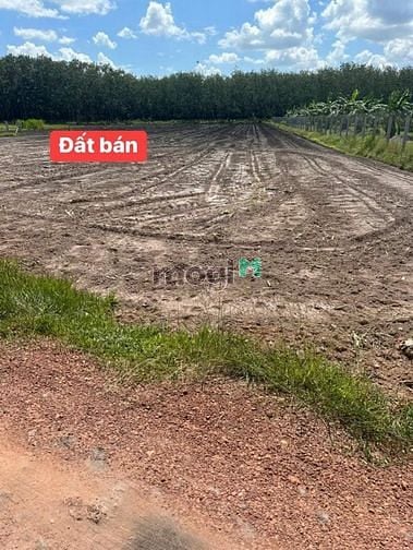 Hình ảnh Gía trũng nhất chỉ 612tr đất LONG TÂN - LỢI THUẬN đảm bảo có sổ riêng
