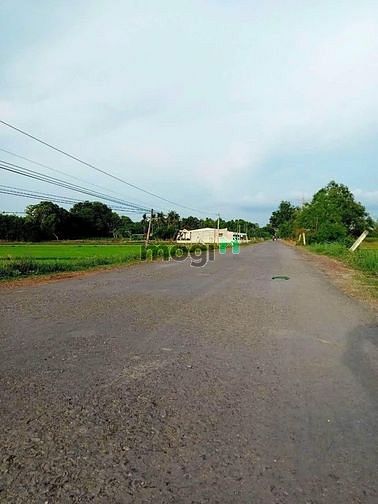 Hình ảnh THÍCH HỢP KINH DOANH Đất Phước Đông, Gò Dầu, 228m2, 520 triệu, SHR