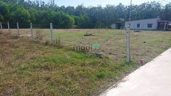 Hình ảnh SỔ HỒNG TRAO TAY ĐẤT 170m² Ấp 4, Cẩm Giang, Gò Dầu giá 5990tr