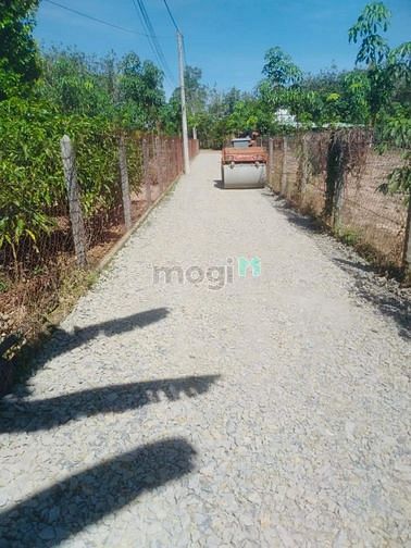 Hình ảnh Đầu tư sinh lời ngay đất Gò Dầu tây ninh Sát KCN DT:5×42m full tc SHR