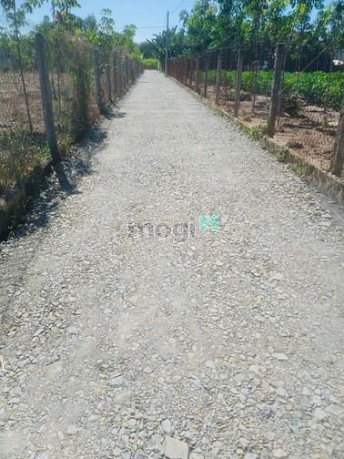 Hình ảnh Đầu tư sinh lời ngay đất Gò Dầu tây ninh Sát KCN DT:5×42m full tc SHR
