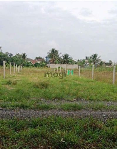 Hình ảnh Vỡ nợ bán gấp lô đất Gò Dầu,Tây Ninh giá 499tr hết 160m2 thổ cư